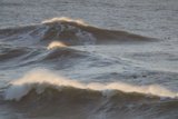 Mavericks' Big Surf Day Extravaganza