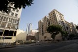The Urban Jungle