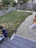 Backyard Adventures