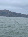 Serene Sailboat Promontory