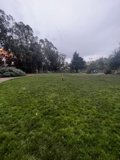 Running Free in Nature