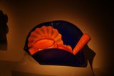 Nature's Palette: A Fusion of Art and Sea Life