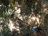 Hiking through the Forest