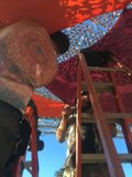Festival Canopy Build