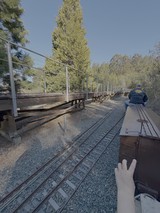 Railway Worker on Active Train Tracks