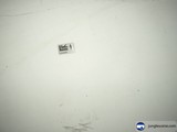 Blank Canvas