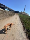 A leisurely stroll amidst nature