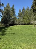 Tranquil Morning in Guerneville
