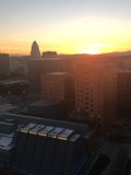 Heavenly Sunset Over the Urban Jungle