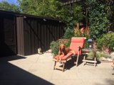 Relaxing in the Backyard