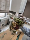 Captivating Floral Display: Boxed Bouquet