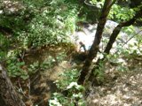 Into the Wilderness