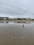 Lonely Fire Hydrant on the Beach