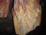 The Beautifully Colored Rock