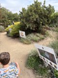 Strolling Through Nature's Art Gallery
