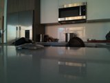 Modern Appliance Oasis