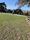 Serene Nature at Alamo Square