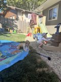 Sunny Summer Playtime
