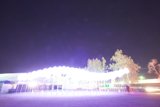 Illuminated Fountain and Trees
