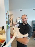 Man and Feline Friend in the Dining Room