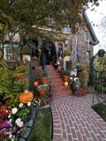 Halloween Delight in San Francisco