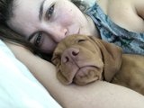 Beauty Sleep with Furry Friends