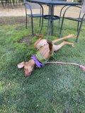 Relaxing in the Summer Sun