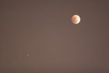Red Moon Rises