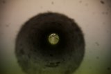 The Mysterious Green Hole