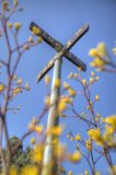 Blooming Sign