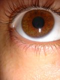 Brown-eyed Beauty