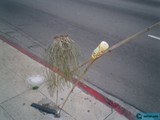 Abandoned Broom and Stick