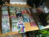 Seeds of Change