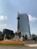 Monumental Bird in the Metropolis