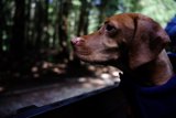 Adventure Awaits at Tilden Park