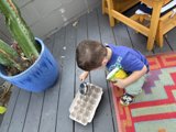 Planting Adventures