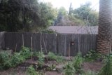 Rustic Wooden Fence in a Lush Backyard