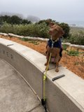 Bench Buddies