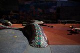 Serpentine Playground Adventure