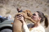 Love and Kisses from My Furry Friend