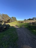 Whispers of Wilderness at McLaren Park
