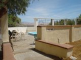 Serenity at the Patio Oasis