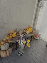 Autumn Afternoon Adventures