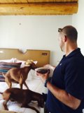 A Man's Best Friends
