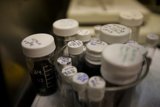 Laboratory Equipment for Medication Testing