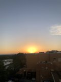 Urban Oasis at Sunset