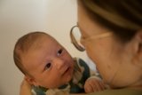 Tender Beginnings