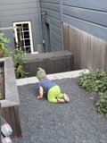 Exploring the Urban Jungle