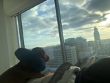Urban Comfort