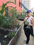 A Gardener's Delight